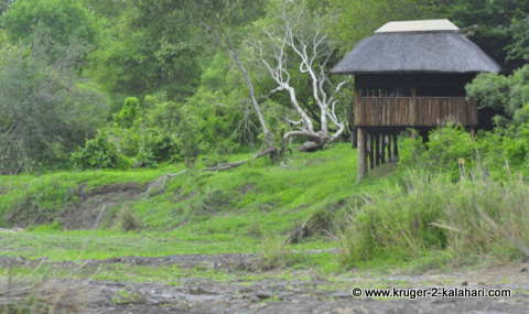 5 Best Hides in the Kruger National Park 